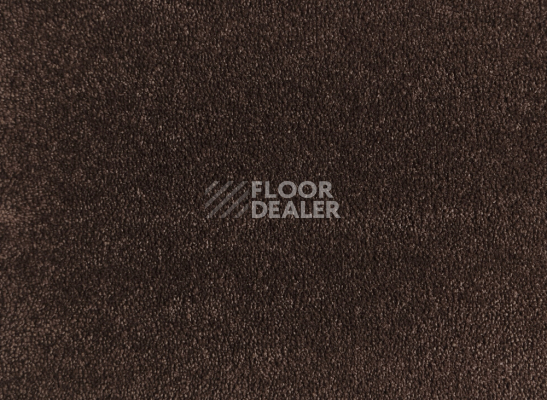 Ковролин  Brown фото 1 | FLOORDEALER